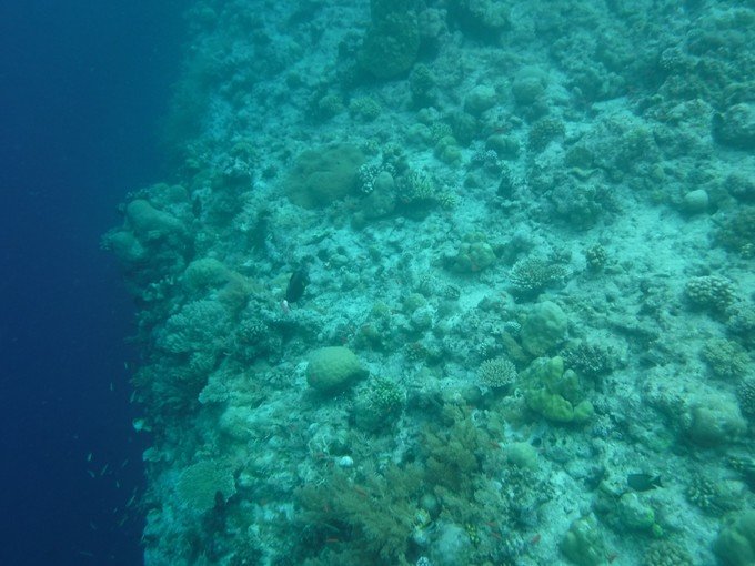 一起去帕劳旅游,去帕劳旅游自由行攻略