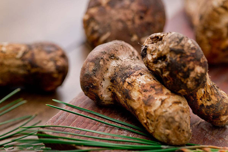 中国所有省市的特产图片,中国34个行政区的特产