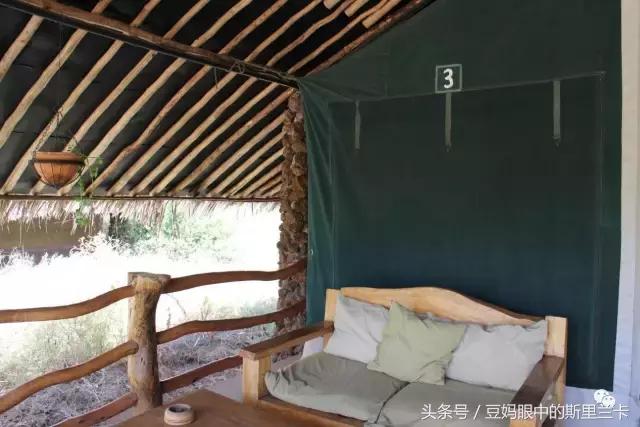 风动？树动？心动！致你，Kenya