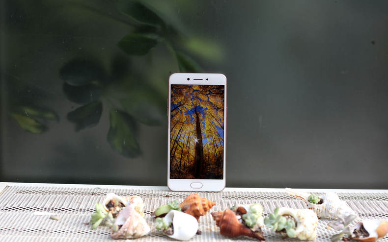 A77综合评测：美貌与性能完美结合的均衡之作