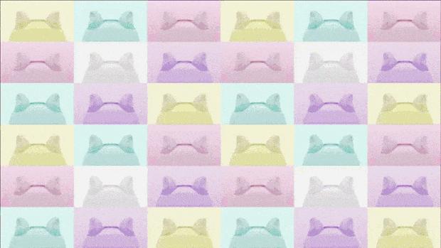 不要说我孤独,我还有猫