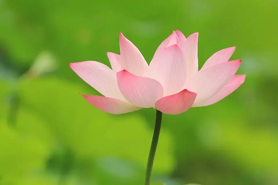 如何扩大产业规模,如何扩大产品附加值