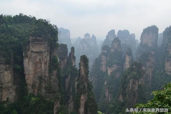 上海到张家界五日游攻略,找一下去张家界天门山的线路