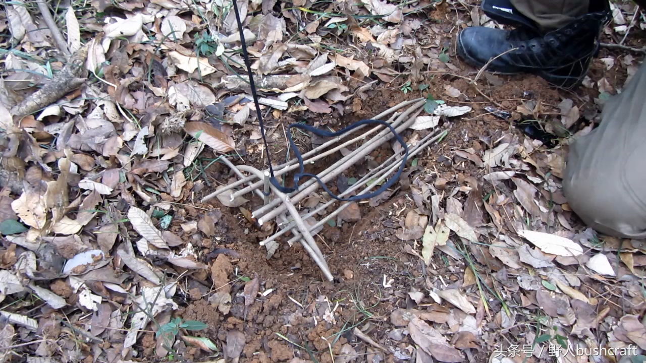 荒野求生非常好用的野鸡野兔吊脚套陷阱