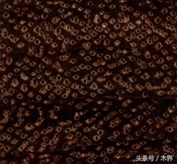 「木说」阔变豆（马卡考巴——Macacauba）木材