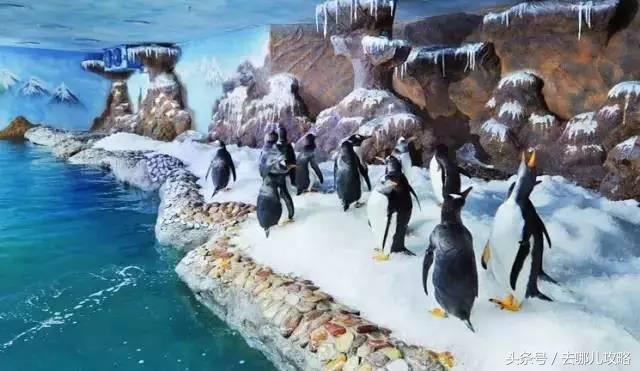 亚洲对中国免签好玩的海岛,十大免签海岛排名