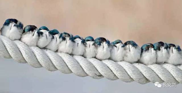 美国司法部对阿桑奇追加指控,美国向阿桑奇提17项新指控