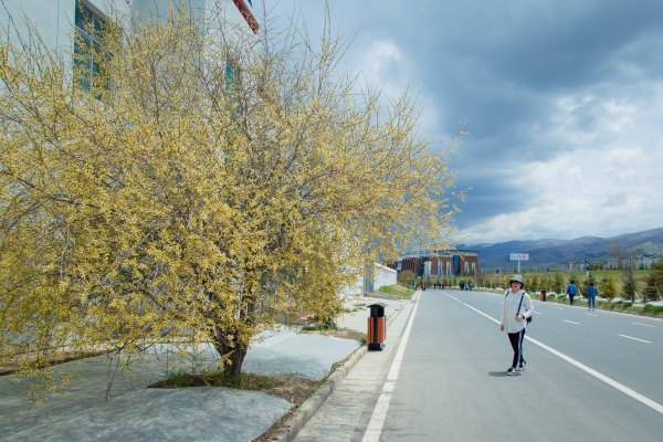 青海西北大环线旅游无人区在哪里,青海大环线高原风景
