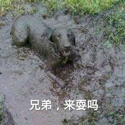 东丽宝能城修路最新进展,宝能城楼盘价格表