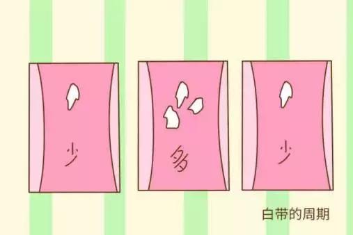 如果你的小内内颜色是这样，今年有好孕，快造人吧！