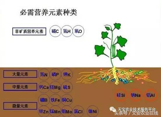 完整的土壤知识快收藏吧,土壤肥料基础知识
