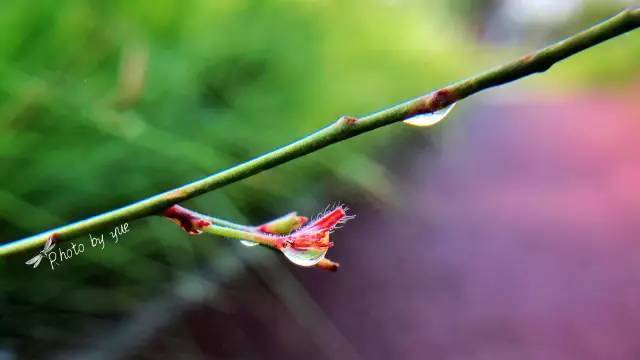 怎么给照片弄上自己的签名水印,照片如何添加印章水印