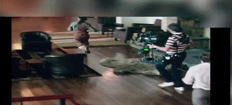 人人都买得起的手机,斯坦尼康稳定器哪个好