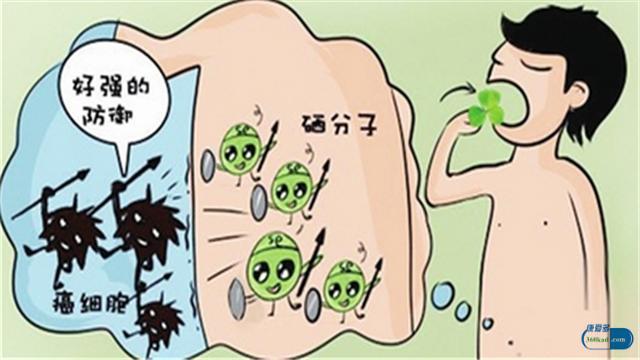 硒酵母片是治什么病的,硒酵母片能降低癌症发病率吗