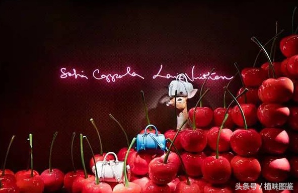 世界顶级奢侈品橱窗,不出家门一分钟尝遍世界咖啡