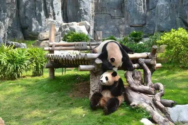 广东景点门票团购特价票,广东团购旅游景点门票价格