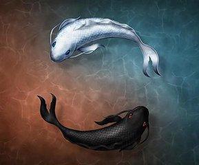 风水大师讲解葬地,风水葬地