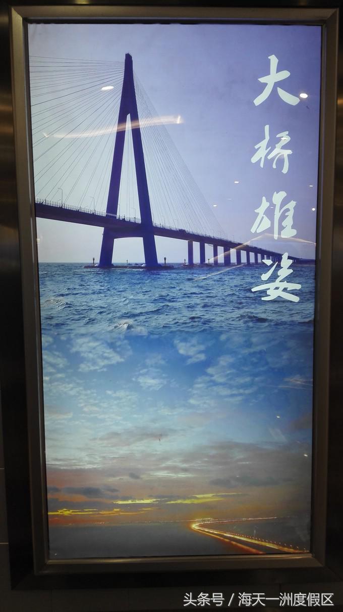 杭州自驾到舟山旅游攻略,杭州湾自驾游一日游