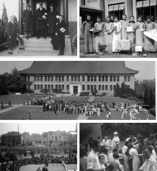 这位金发碧眼的菩萨,以一人之力,从人间炼狱救下数万妇孺