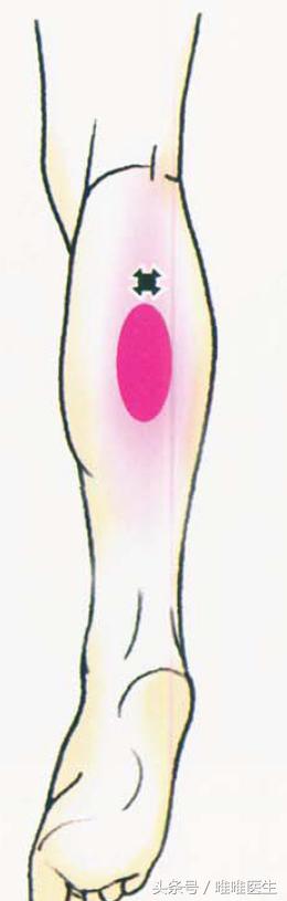 膝关节科普文章,膝关节疼痛最全解析