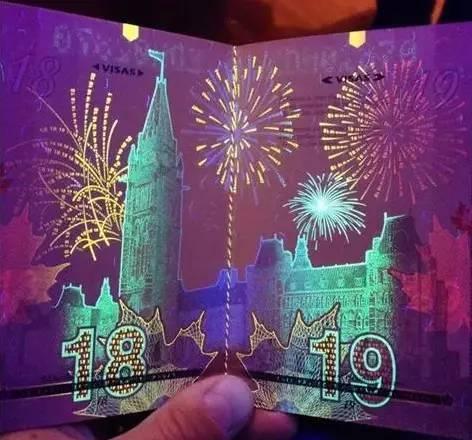 战狼2的护照与真实护照的区别,战狼的护照和现实护照不一样