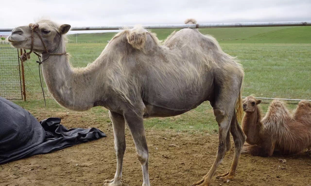 北京朝阳蟹岛度假村,蟹岛生态度假村