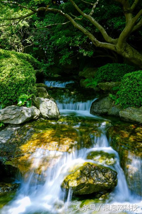 索尼最新微单a7r3与a9对比,索尼a9和a7r4拍视频比较