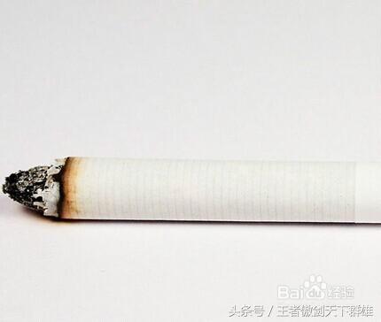 家里有金色小飞虫怎么消灭,家里为什么有小飞虫怎么消灭