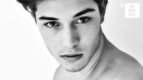 眉毛也会影响一个人的颜色,眉毛对颜值的影响