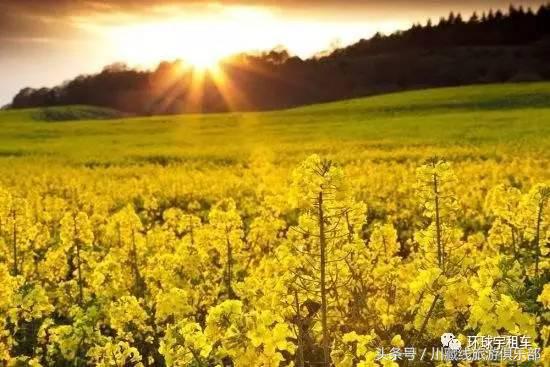 暑期蜜月旅行,暑假蜜月旅游推荐国内