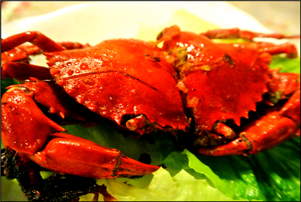 没去鼓浪屿，却巧遇曾厝垵“煮好吃”