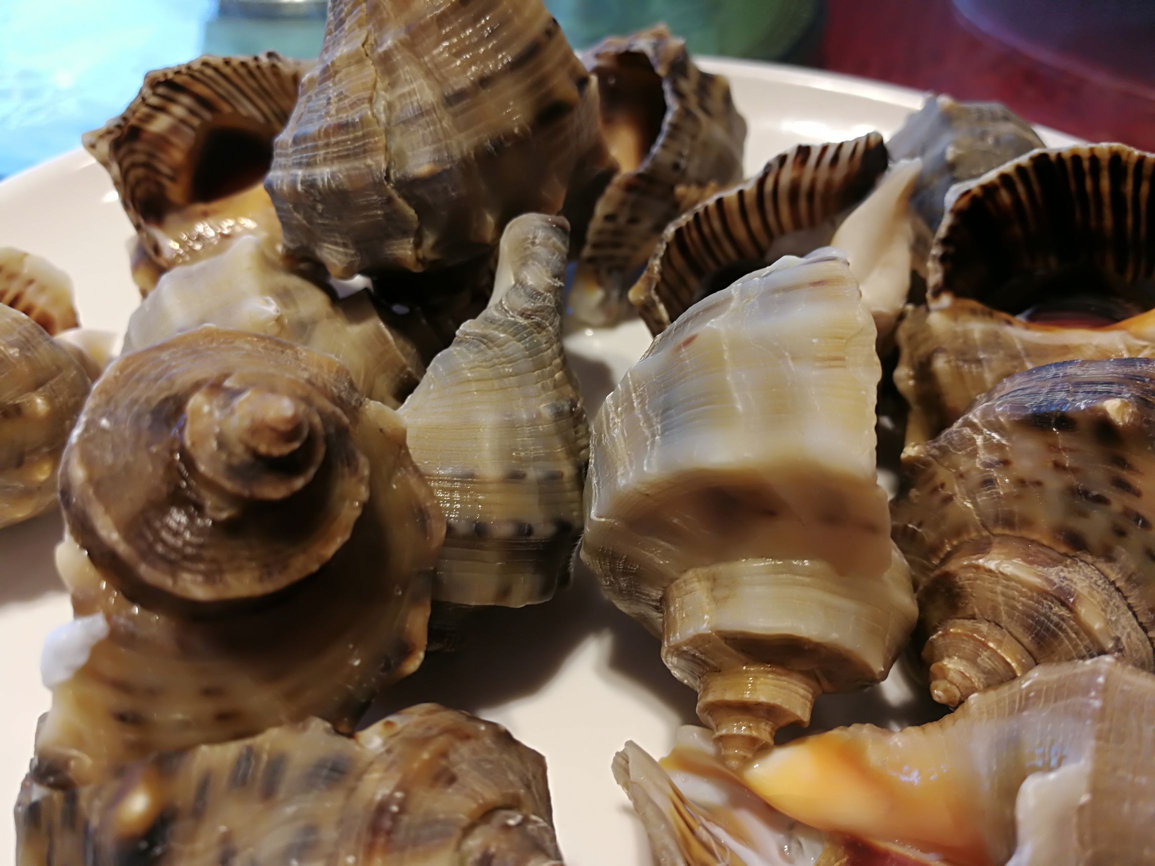 天津塘沽的回忆,天津塘沽名胜古迹