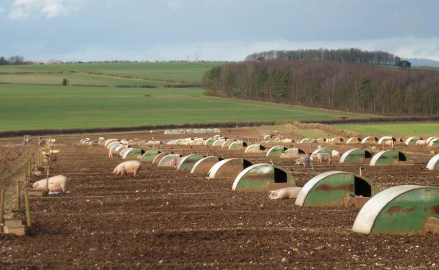 美国农场的盈利模式,美国农场是怎么挣钱的