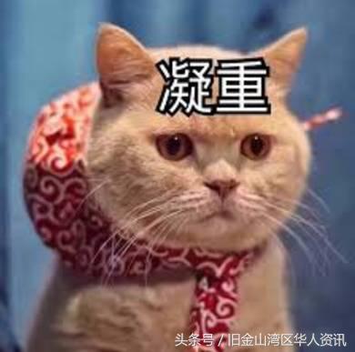 美国人看来很俗的英文名,在美国起什么样的英文名