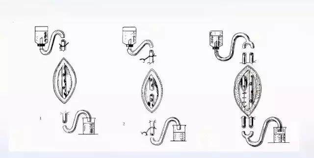创面感染肿胀吃什么消炎药,创面感染原因