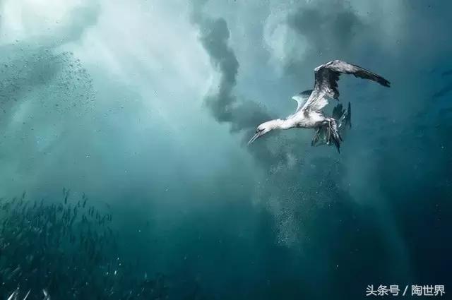 顶级摄影高手拍摄人像,顶级摄影师才能拍出这么美的效果