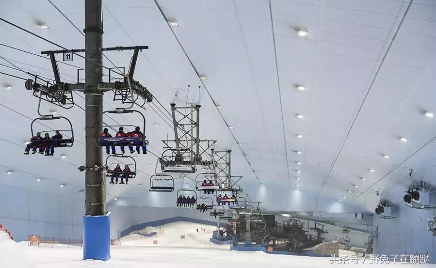 去迪拜的人怎么样,去迪拜玩什么感觉