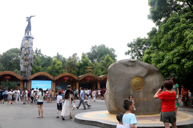 成都动物园看各种动物,成都动物园周末打卡景点