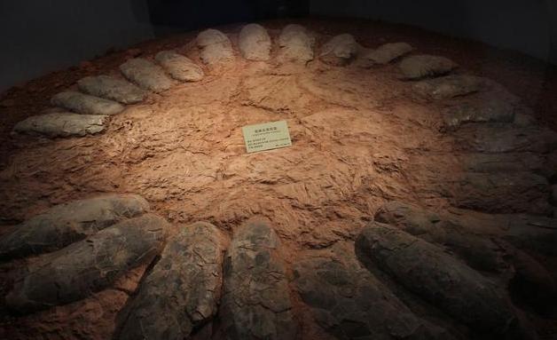 科学家猜测恐龙灭绝的原因是什么,科学家称恐龙还未灭绝