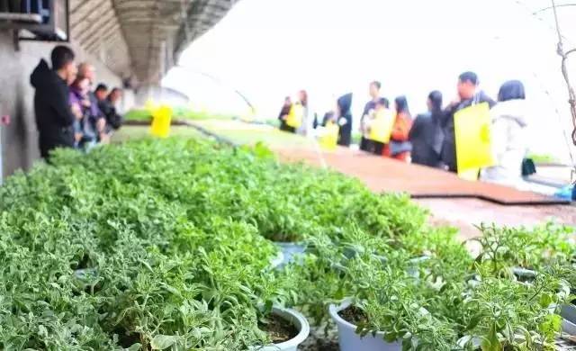 江苏包地200亩一年能赚多少钱,农村创业包地5000亩一年赚多少钱