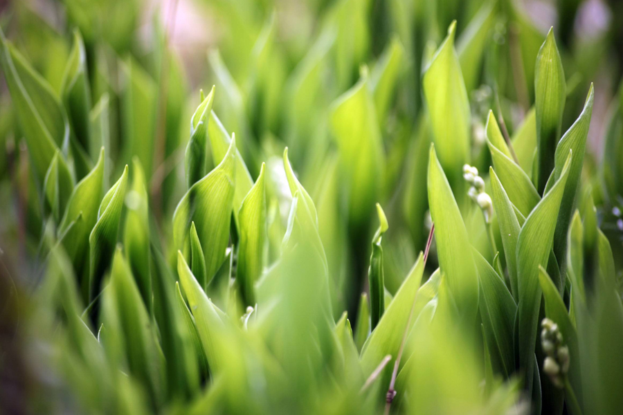 矿物油为什么效果好,矿物油一定不如全合成吗