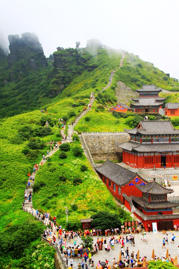 天天有人去山上采蘑菇,每天来观看的游客上万人