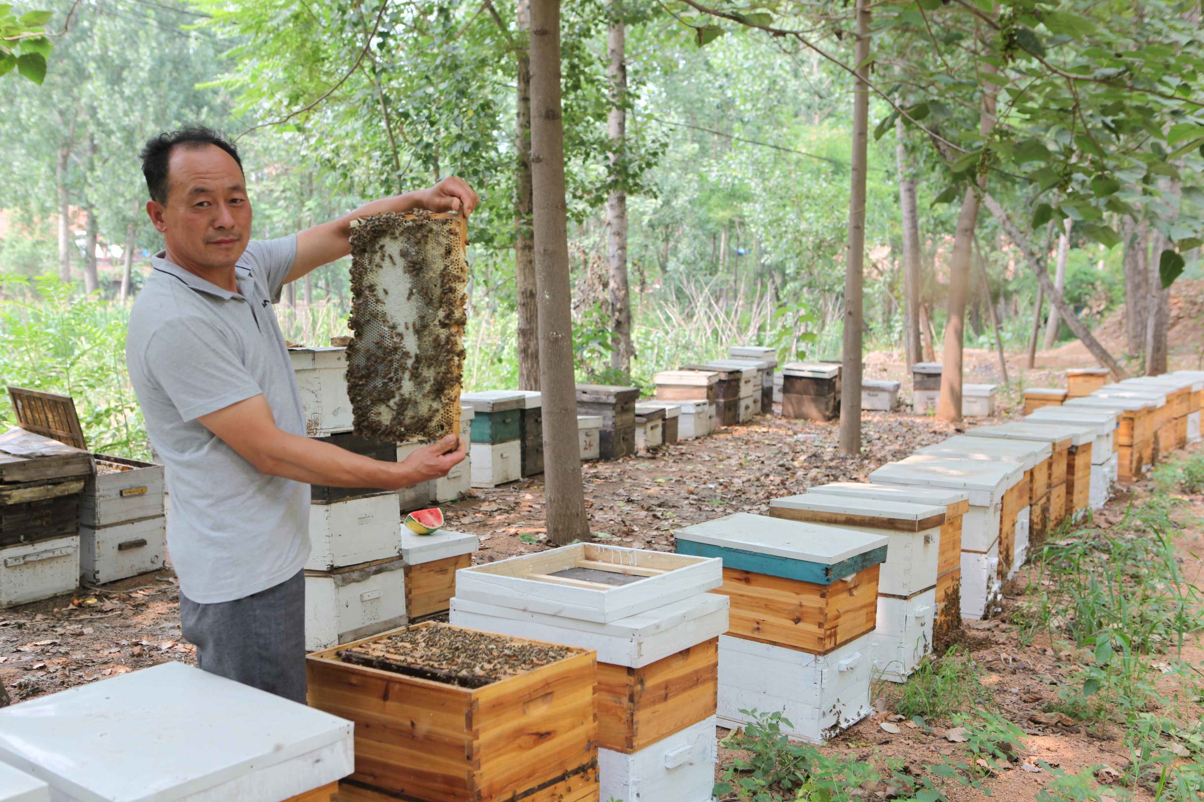 16年坚持用业余时间养蜂,有了好蜂蜜却没有好市场