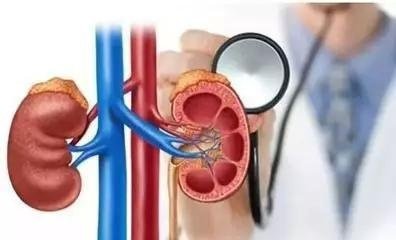 肾病高血压降压标准,慢性肾病如何降压