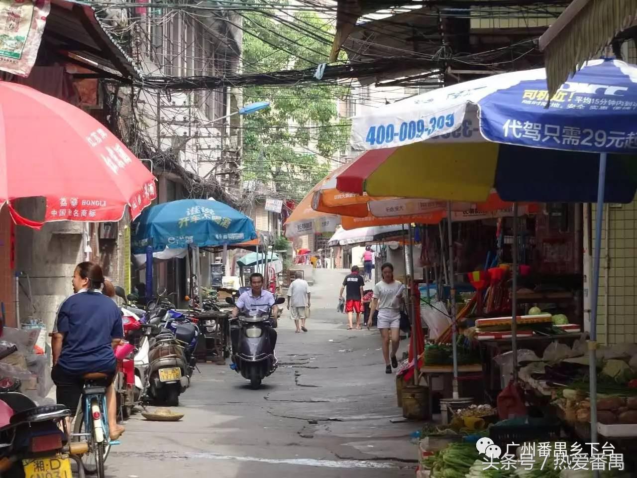 洛溪大桥为啥有个名字,洛溪大桥为什么叫洛溪大桥