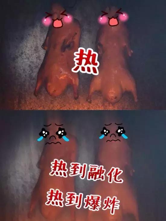 真正地道的老北京美食,最正宗的老北京美食