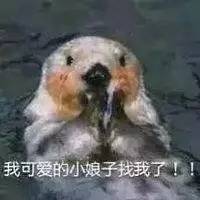 精灵、代购、吸金，这些摩登词儿古人写诗早用过了！