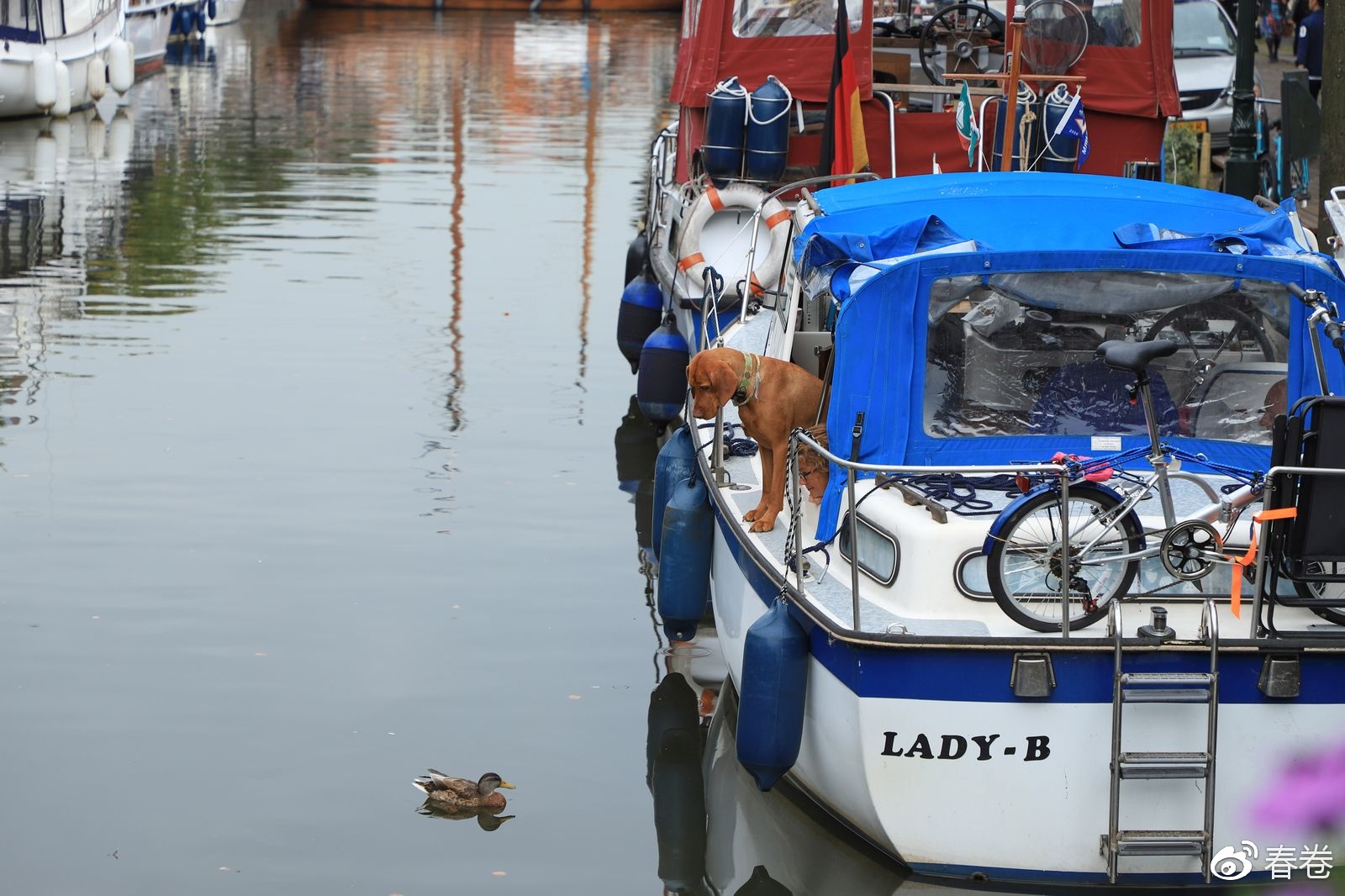 佳能6d2到底值不值得入手,6d2可通过固件升级解决宽容度吗