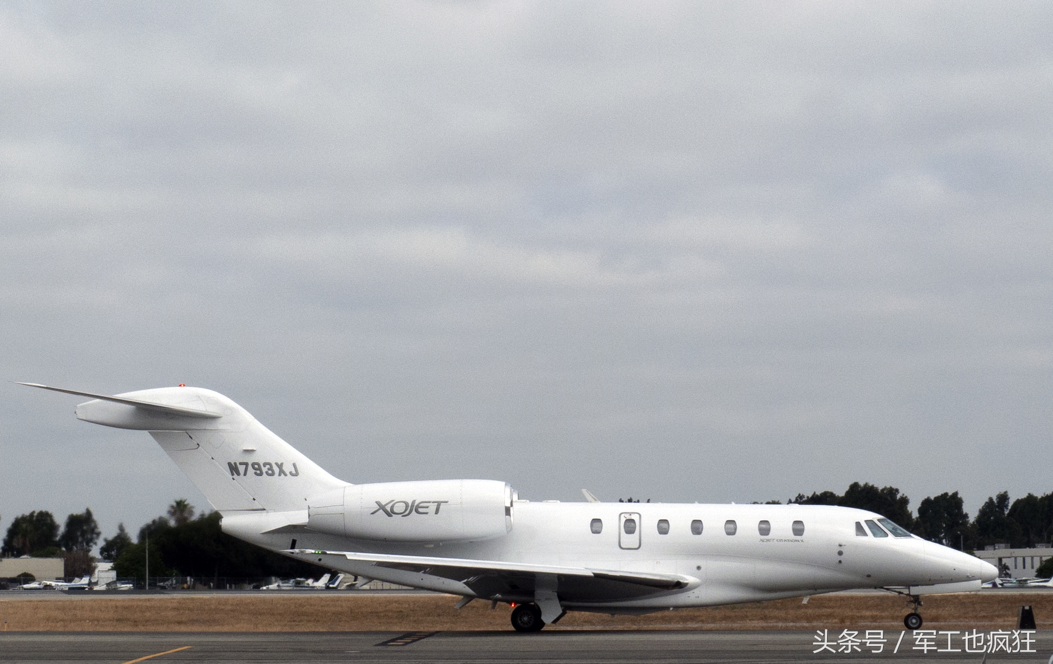 全球鹰翅膀为什么那么长,全球鹰是世界第一吗