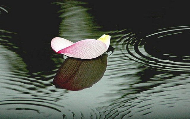 学佛的最大障碍是什么,学佛过程最重要的是什么